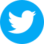 module image icon